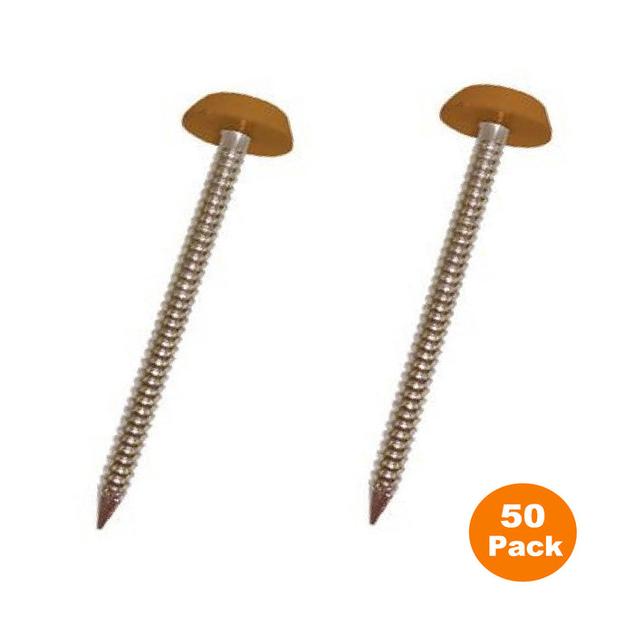 Light Oak / Tan UPVC Poly Top Pins Stainless Steel